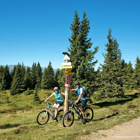 Rehkitz By Interhome * Kaprun